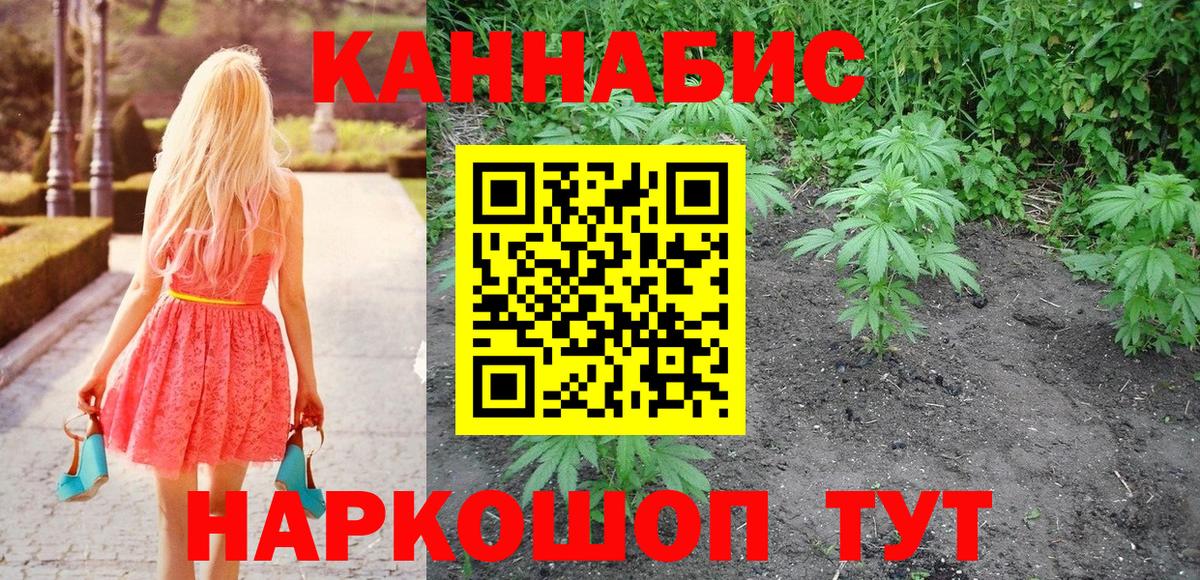 Бошки Шишки планчик  Конопля THC 21%  Вход с VPN  Марихуана SATIVA & INDICA  Михайловка 